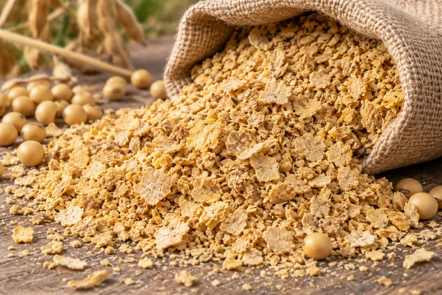 Soybean meal, illustrative plant-protein raw-material imagery