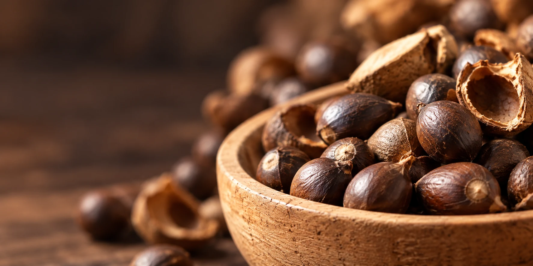Camellia seeds and shells in a wooden bowl, illustrative material study